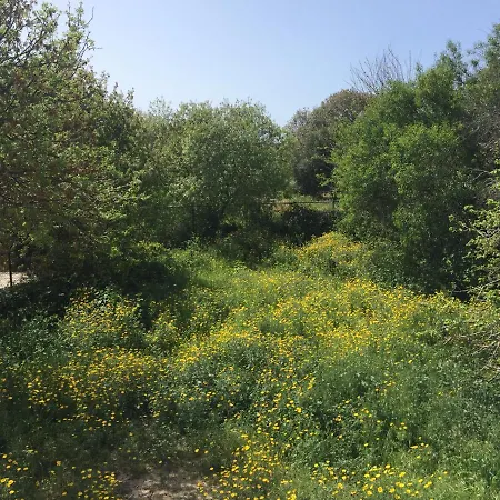 Dream- Downtown-studios * Paphos