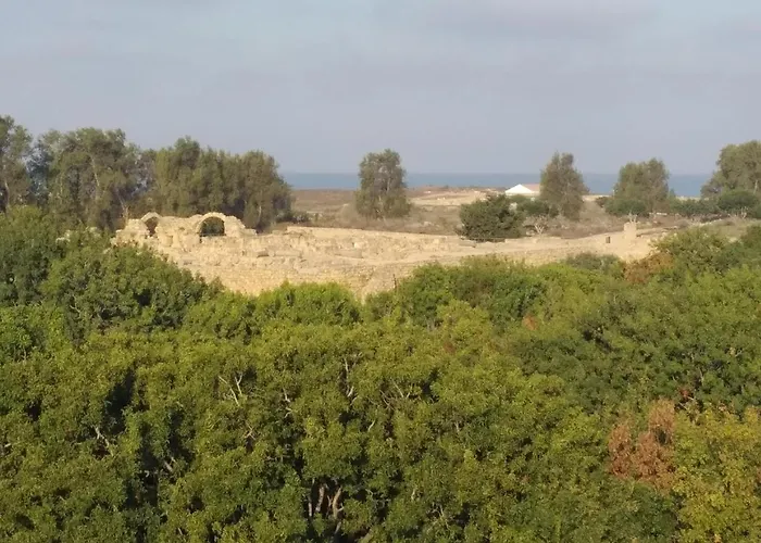 Dream- Downtown-studios Пафос