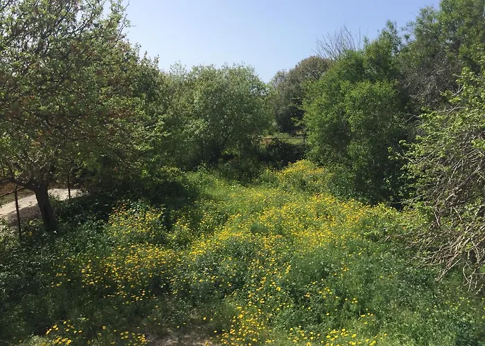 Dream- Downtown-studios * Пафос