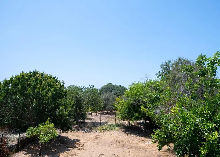 Dream- Downtown-studios Апартаменты Пафос