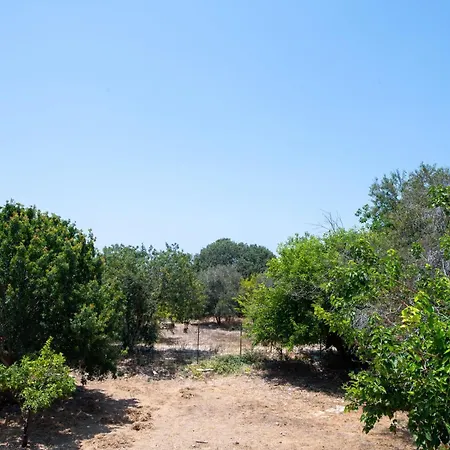 Dream- Downtown-studios Appartement Paphos